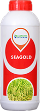seagold
