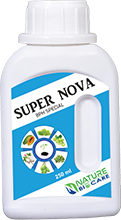 super nova - bph special
