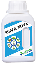 super nova